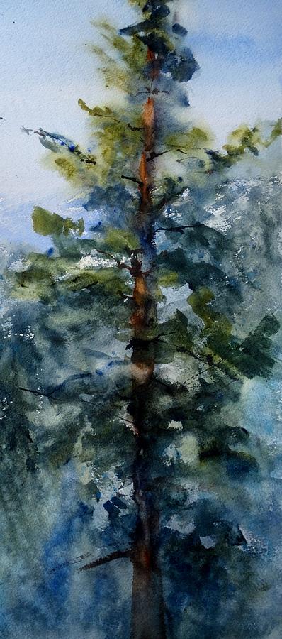 San Jacinto Mountain Tree Top Painting by Sandra Strohschein