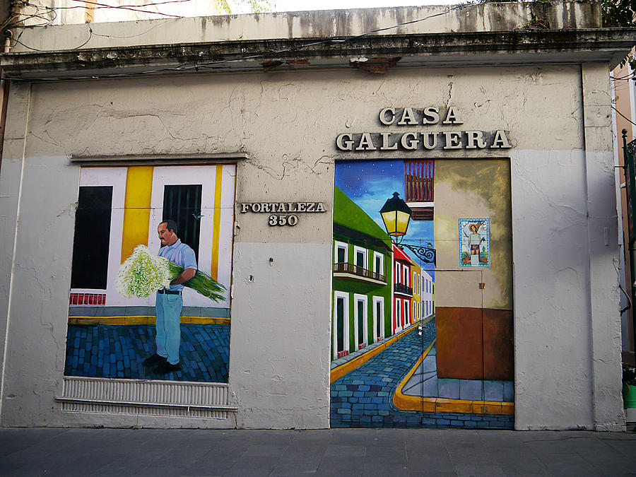 San Juan - Casa Galguera Mural Photograph by Richard Reeve