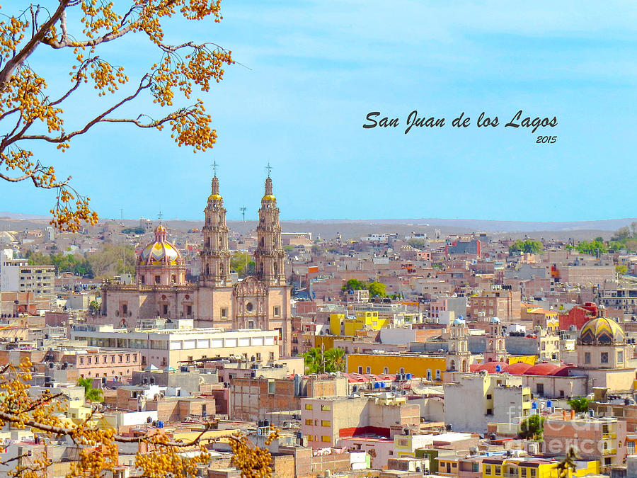 San Juan de los Lagos - Rectangular version Photograph by Claudia Ellis