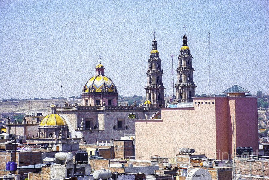 San Juan de los Lagos Roofs Photograph by Claudia Ellis