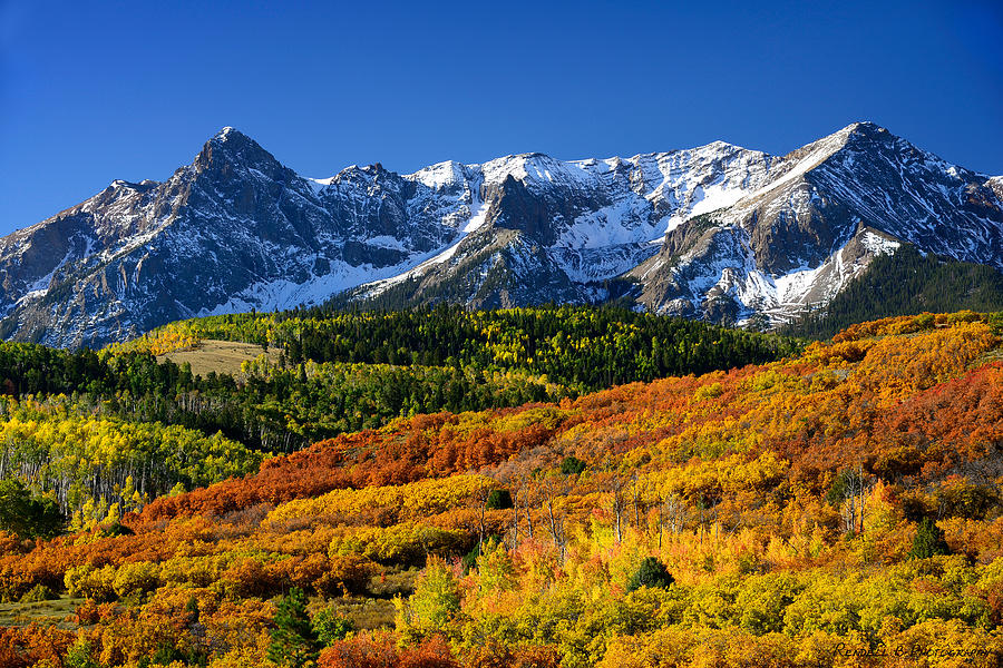 San Juan Mountains Color Burst Photograph by Rendell B - Fine Art America