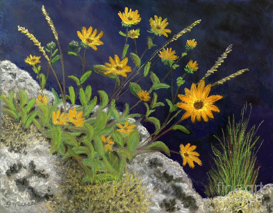 San Juan Wildflowers Painting by Ginny Neece