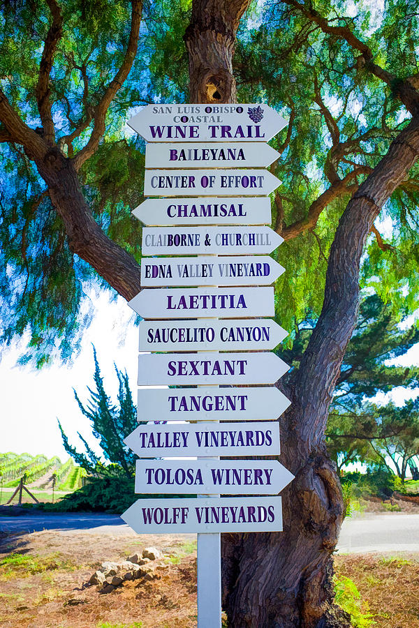 San Luis Obispo Coastal Wine Trail Photograph by Priya Ghose