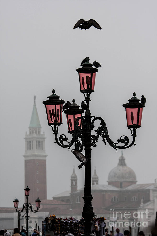 Gallery Photograph - San Marco Lights  by Richard Smukler