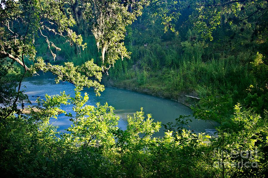 San Marcos River Scenic Photograph by Gary Richards