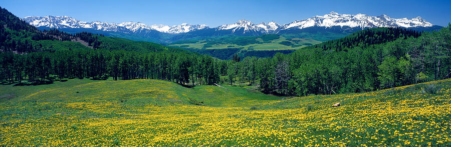 Spring Photograph - San Miguel Mountains In Spring by Panoramic Images