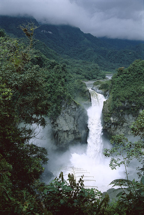 San Rafael Falls On The Coca River Photograph by Tui De Roy