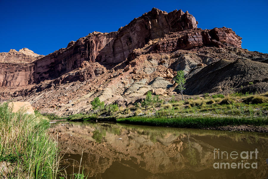Nature Photograph - San Rafael River Reflections - Utah by Gary Whitton