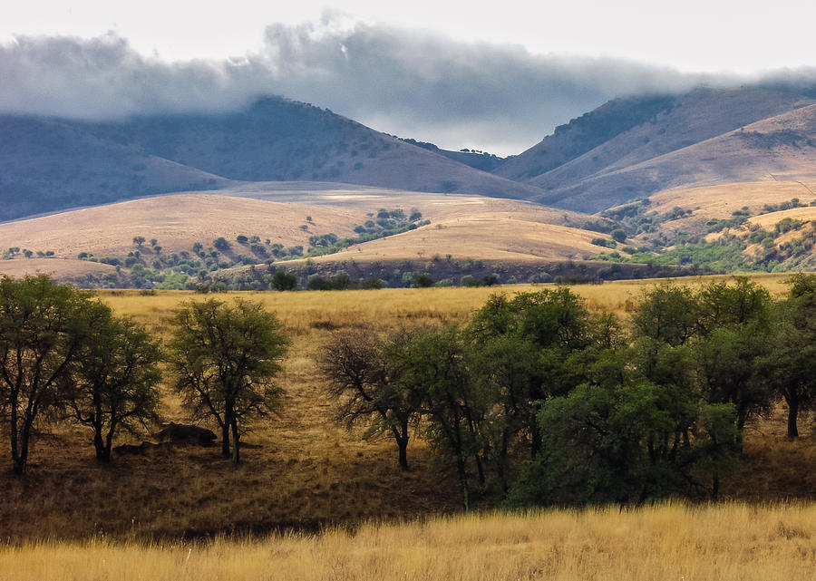 San Rafael Valley Photograph by Beverly Parks