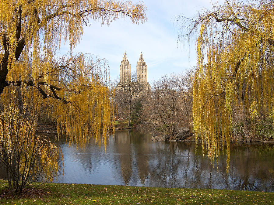 Central Park Photograph - San Remo in the Fall by Cornelis Verwaal