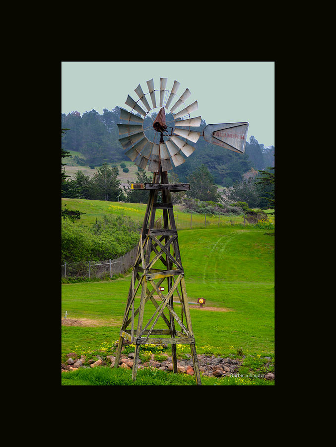 San Simeon Pines Windmill Duvet Painting by Barbara Snyder
