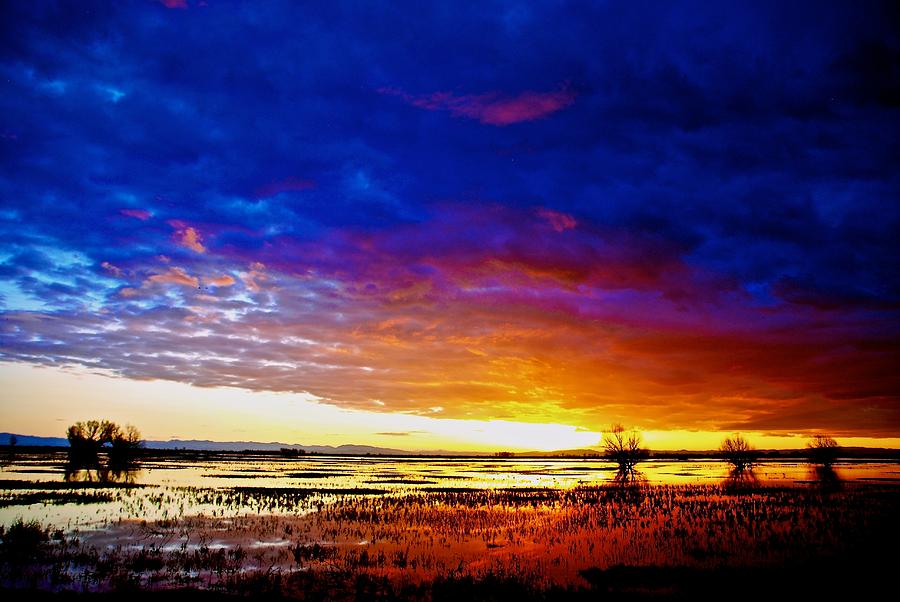 Sanctuary Sunset Photograph by Eric Tressler