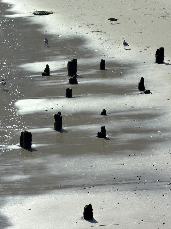 Abstract Photograph - Sand Abstract by Deborah  Crew-Johnson
