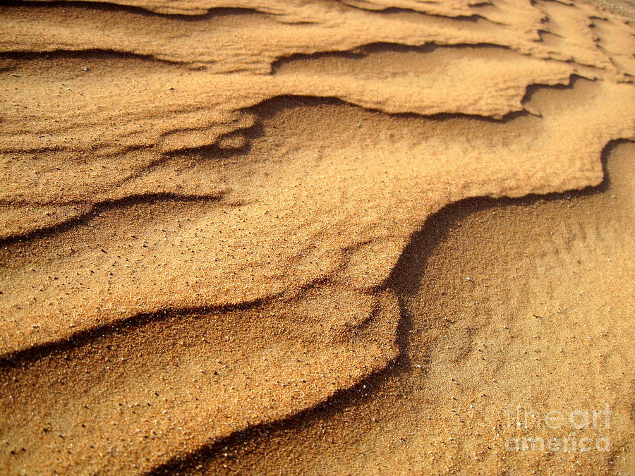 Sand Photograph by Amanda Mohler