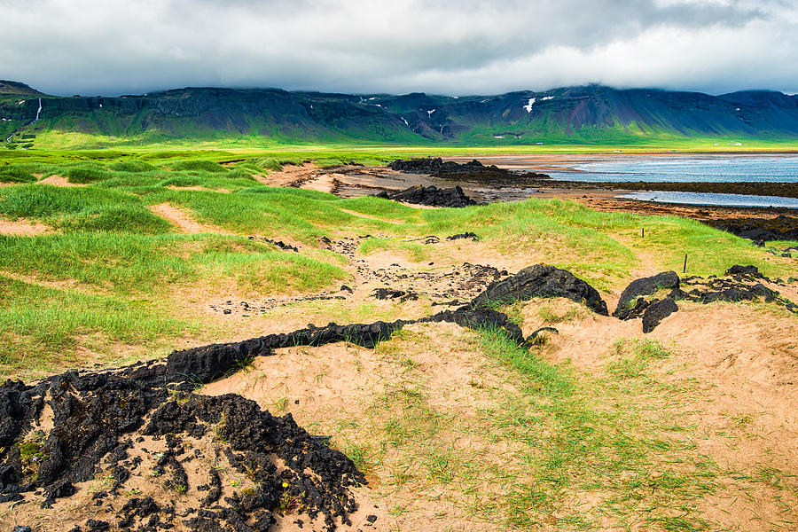 Sand and green grass Iceland coast landscape Arnarstapi Photograph by Matthias Hauser