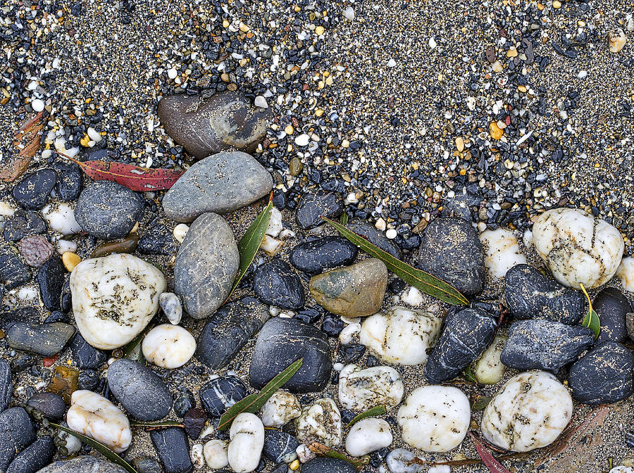 Sand and Rocks on Beach Photograph by Steven Ralser