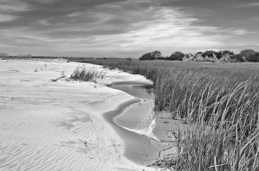 Black And White Photograph - Sand and Saltmarsh by Ginny Horton