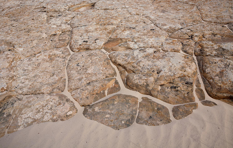 Sand and Sandstone Photograph by Gregory Scott