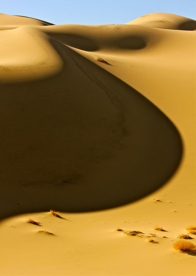 Sand and Shadow Photograph by Michael Cinnamond