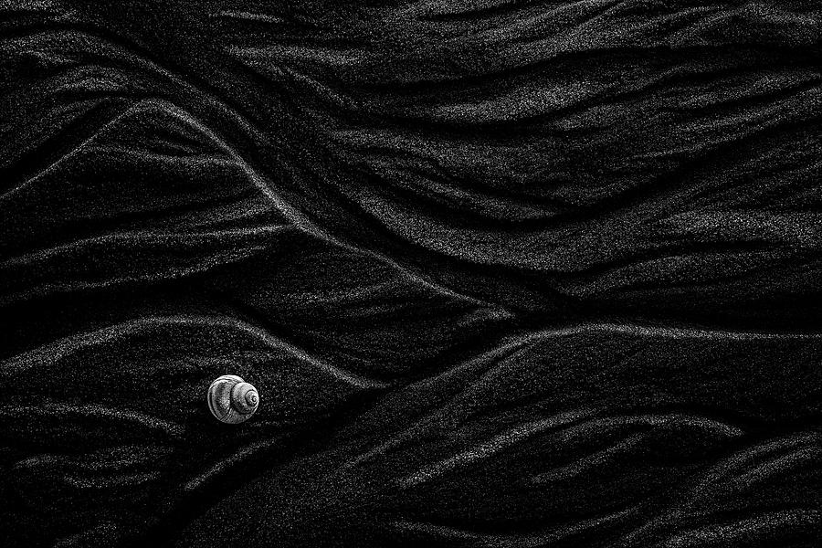 Black And White Photograph - Sand And Shell by Stephen Clough