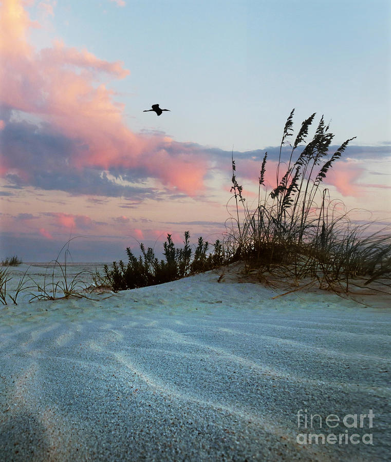 Sand and Sunset Photograph by Deborah Smith