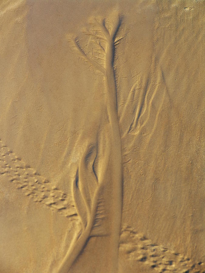 Sand Art Photograph