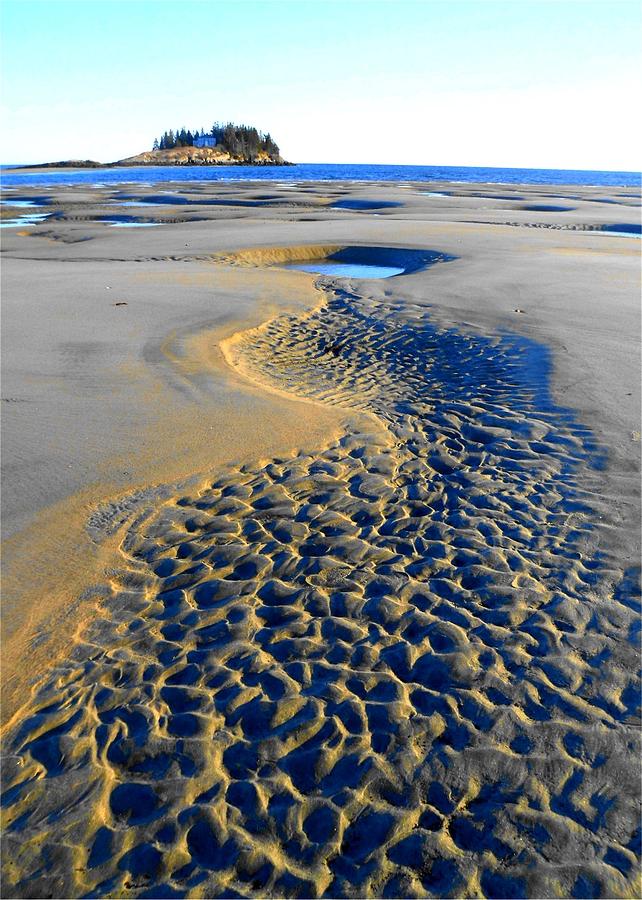 Beach Photograph - Sand Art by Lisa Moore