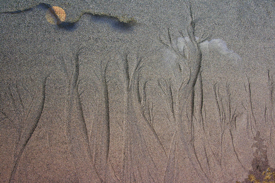 Sand Art - Monday Photograph by Ed Hall