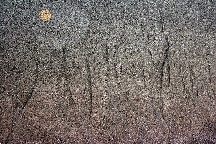 Sand Art - Saturday Photograph by Ed Hall