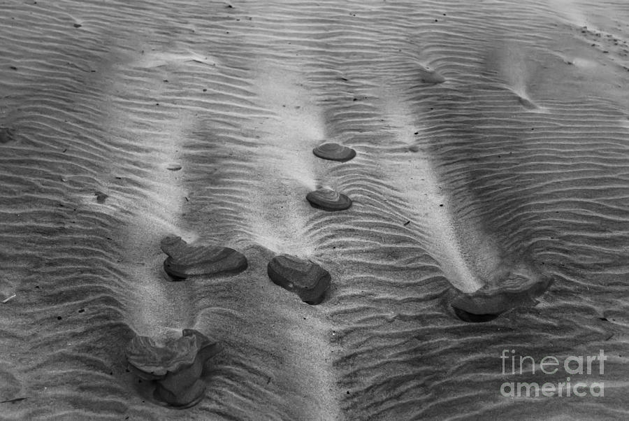Sand Art Photograph by Steven Brodhecker