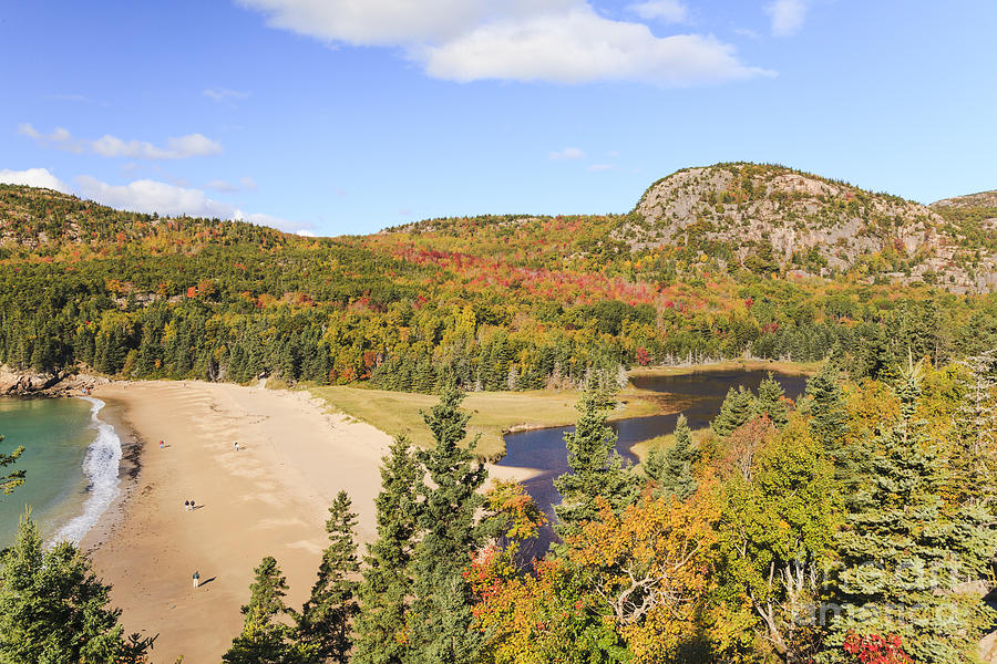Sand Beach and The Beehive in Autumn Acadia National Park Photograph by Ken Brown