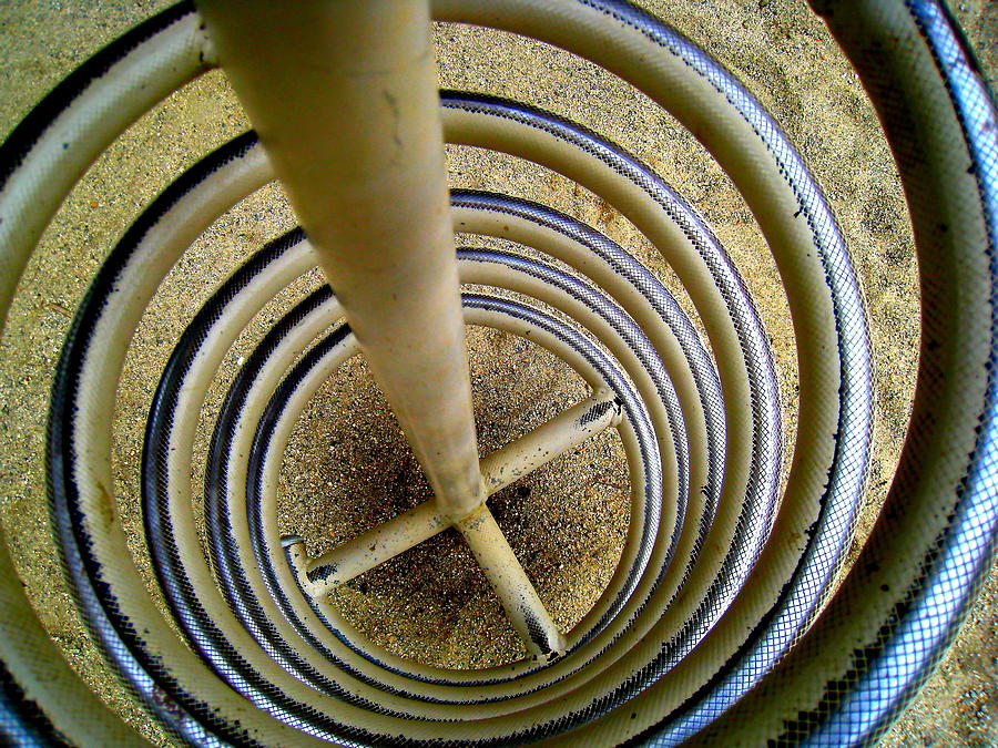 Sand Boa Spiral Photograph by John King I I I