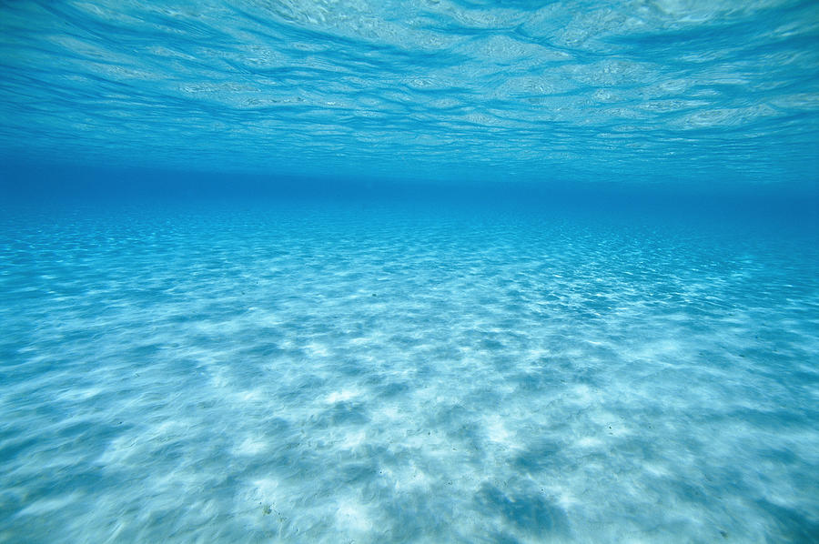 Sand bottom underwater. Photograph by Lars Thulin
