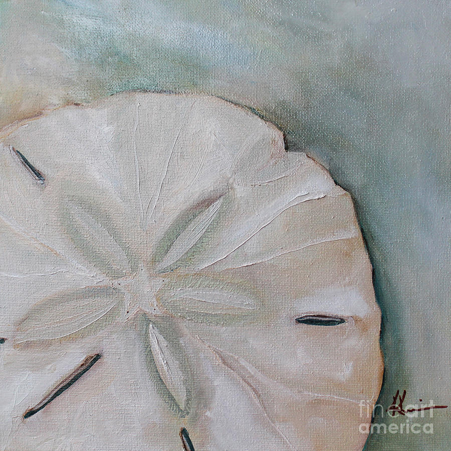 Shell Painting - Sand Dollar by Kristine Kainer
