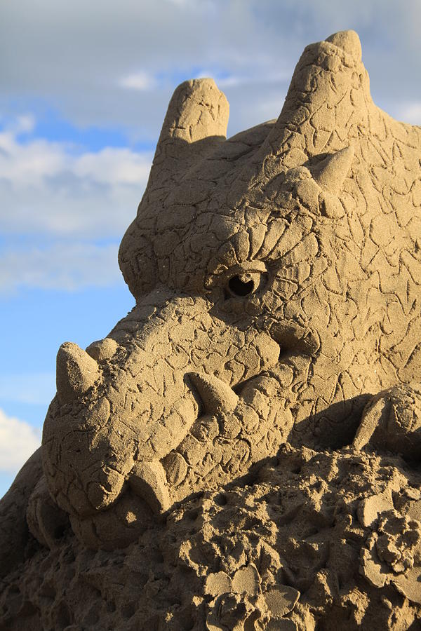 Sand Dragon Photograph by Lauren Tracy