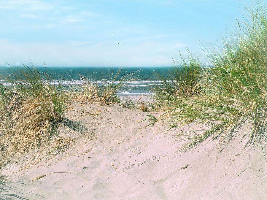 Sand Drifts Photograph by Micki Findlay