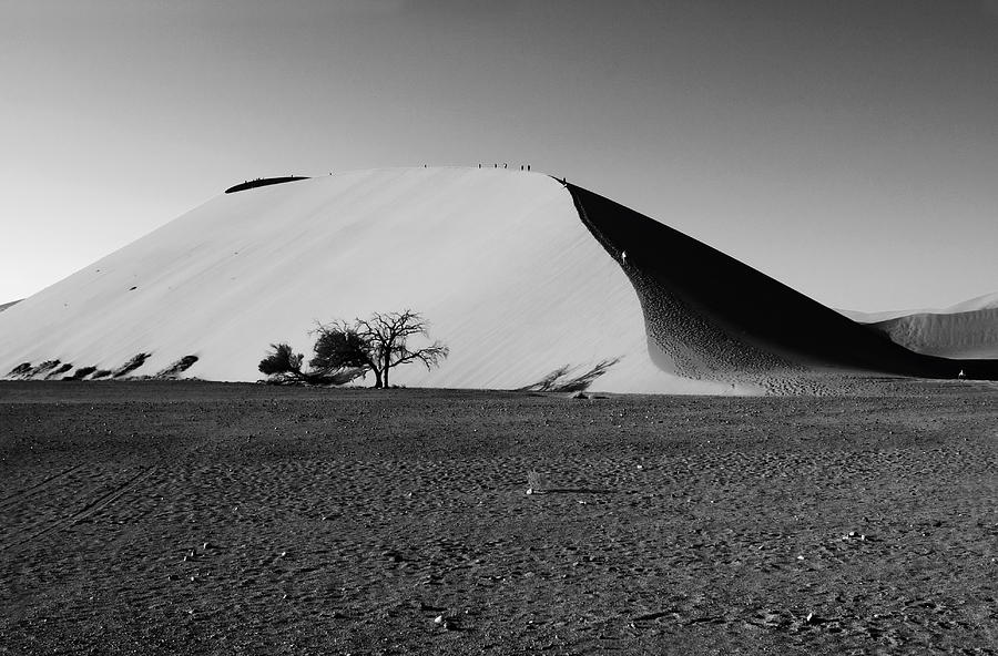 Sand Dune 45  Photograph by Aidan Moran