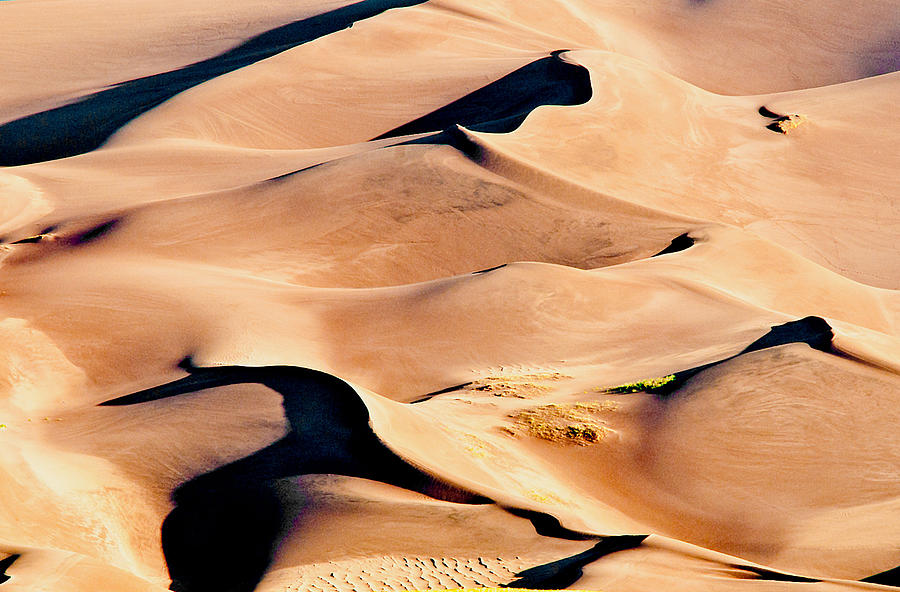 Sand Dune Abstract Photograph by Mae Wertz