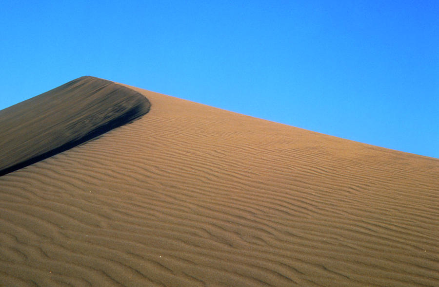 Sand Dune Photograph by Alex Bartel/science Photo Library