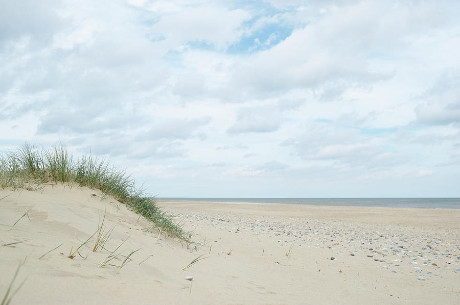 Sand Dune And Landscape At Beach Photograph by Dougal Waters