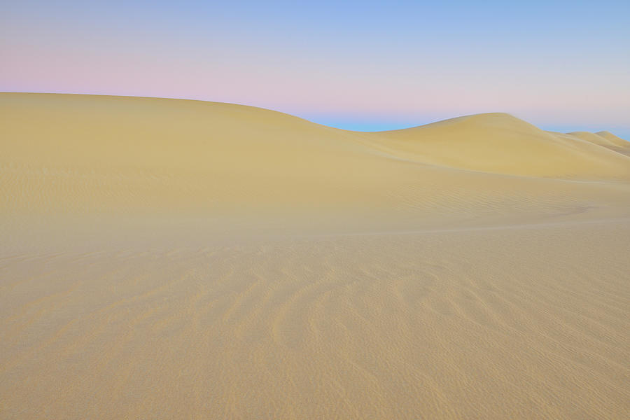 Sand Dune At Dusk Photograph by Raimund Linke