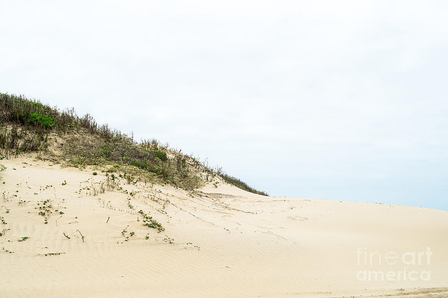 Sand dune Photograph by Imagery by Charly
