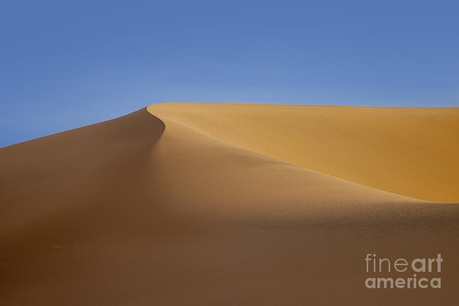 Sand Dune - Death Valley Photograph by Brian Jannsen