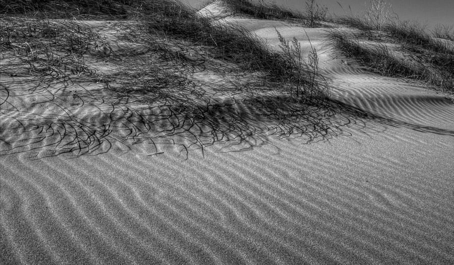 Sand Dune Photograph by David Dufresne