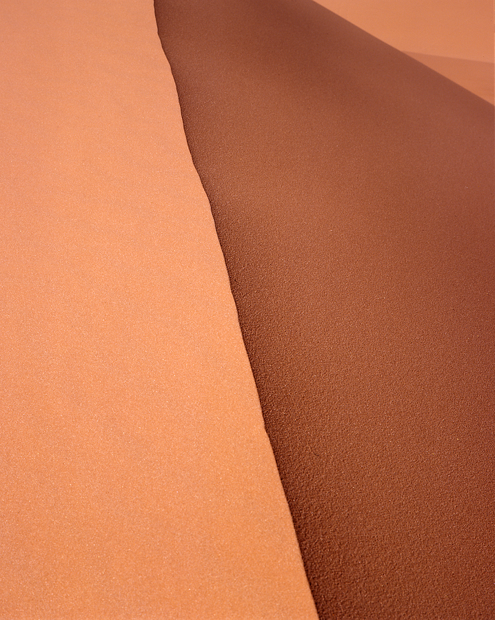 Sand Dune Edge Photograph by Rich Franco