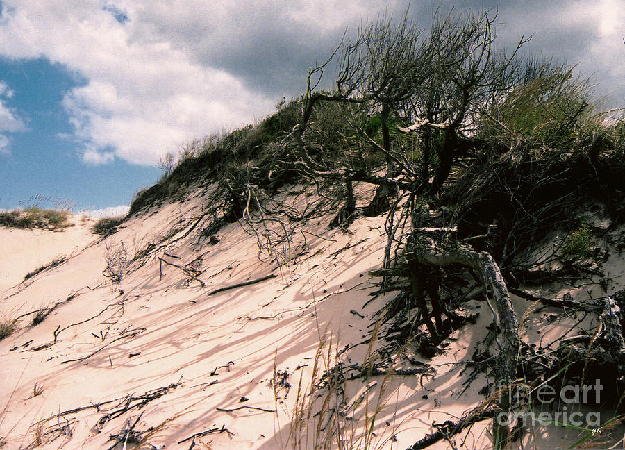 Sand Dune Photograph by Gerlinde Keating