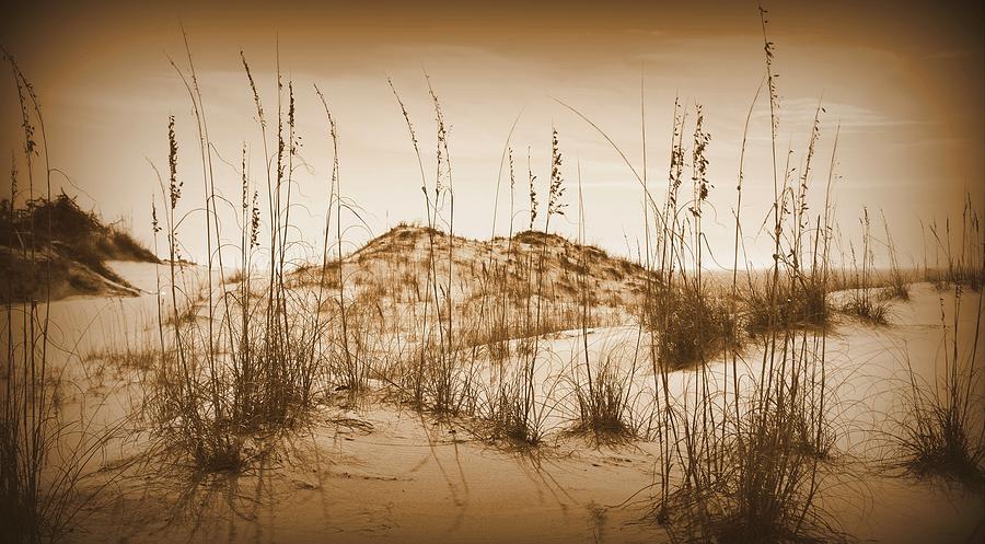 Beach Photograph - Sand Dune in Sepia by Toni Abdnour