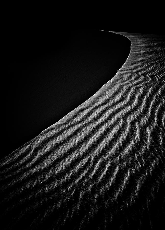 Sand Photograph - Sand Dune by Lydia Jacobs