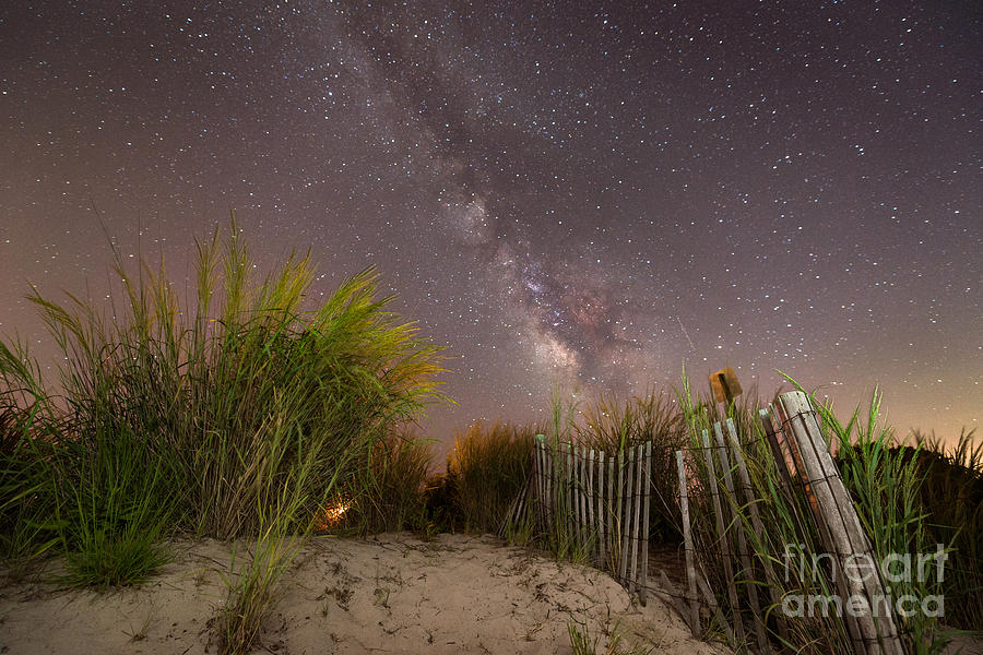 Nature Photograph - Sand Dune Milky Way by Michael Ver Sprill