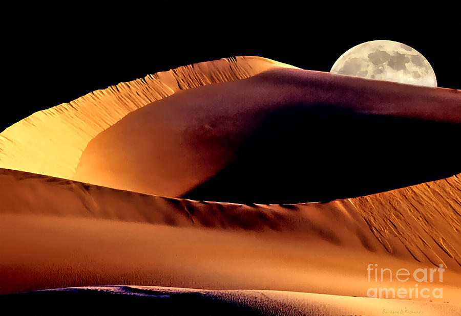 Unique Photograph - Sand Dune Moon by Barbara D Richards